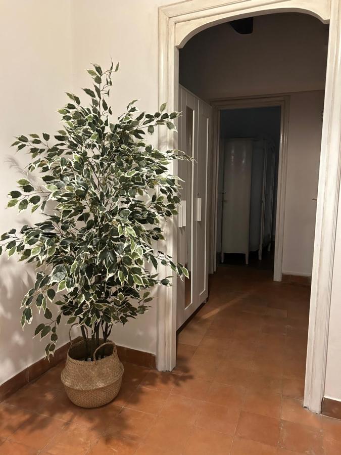 Apartamento La Casa Di Gioia Ostia Antica Exterior foto